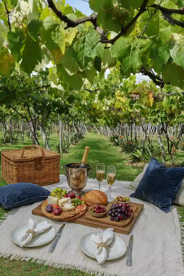 Picnic Consciente - Convivencia