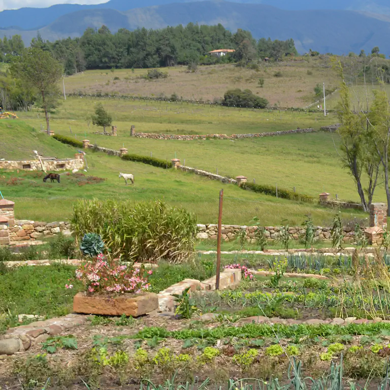 Ecoparque en 2011: cobertura degradada y suelos expuestos