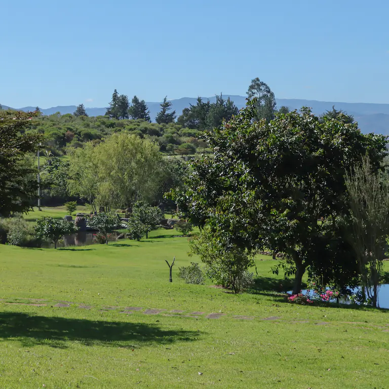 Ecoparque en 2024: suelos estabilizados y biodiversidad en recuperación